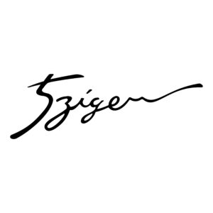 5zigen 2 graphic vinyl decal sticker