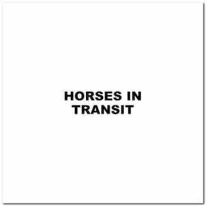 (A) Horses In Transit Vinyl Decal Sticker