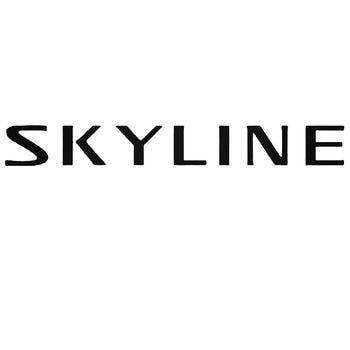 Nissan Skyline Style Vinyl Decal Sticker