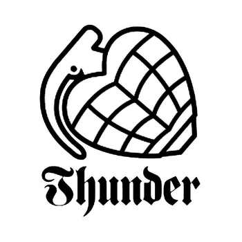 Thunder Trucks SkateBoard Vinyl Decal Sticker