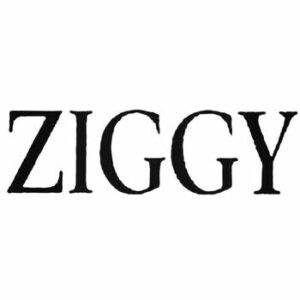 Ziggy Band Vinyl Decal Sticker