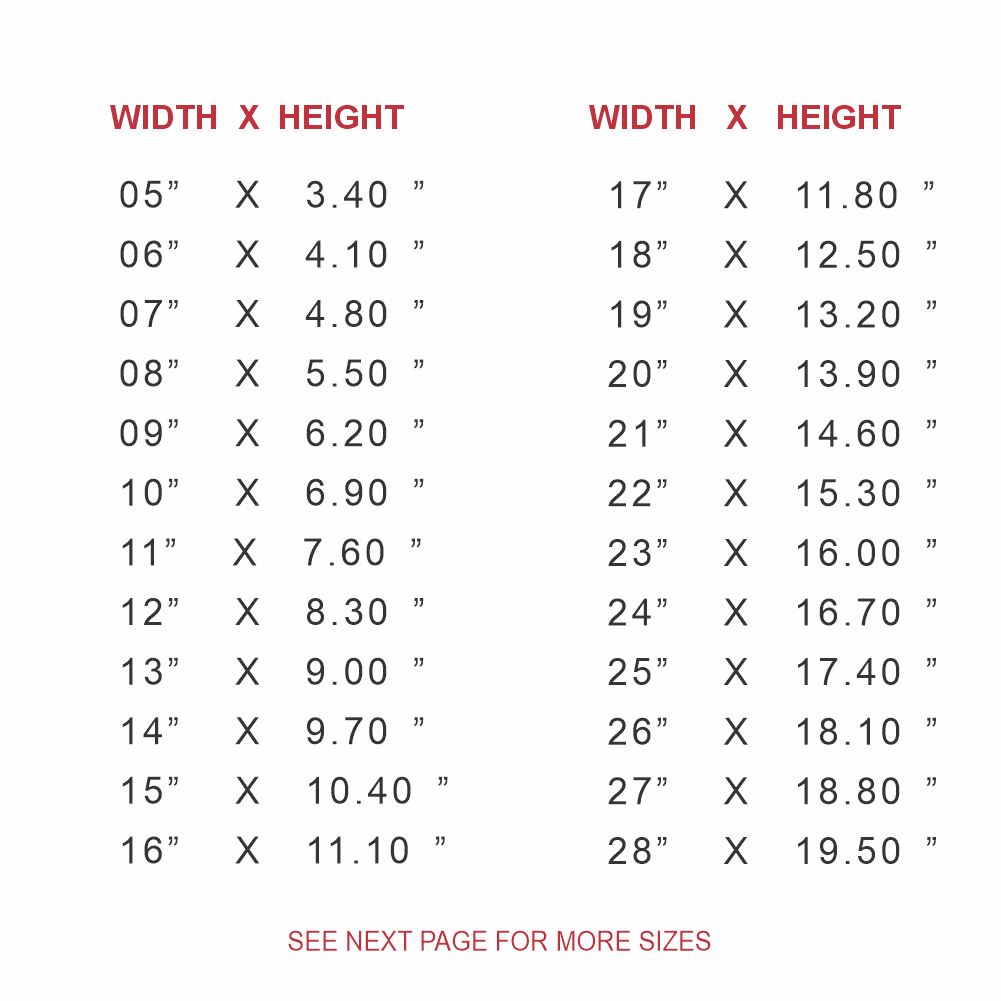 chicago bears 624 vinyl decal sticker